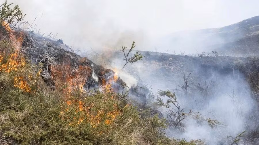 Incendio forestal en España. EFE