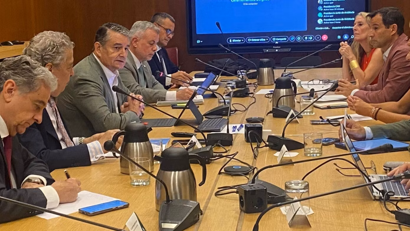 Antonio Sanz ha presidido la reunión de urgencia en el Palacio de San Telmo