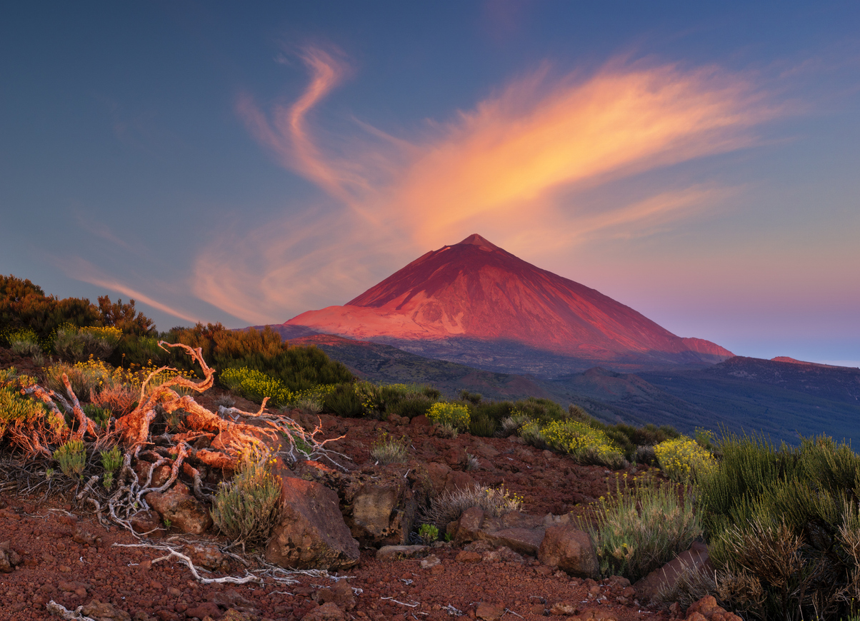 (Fuente: iStock)