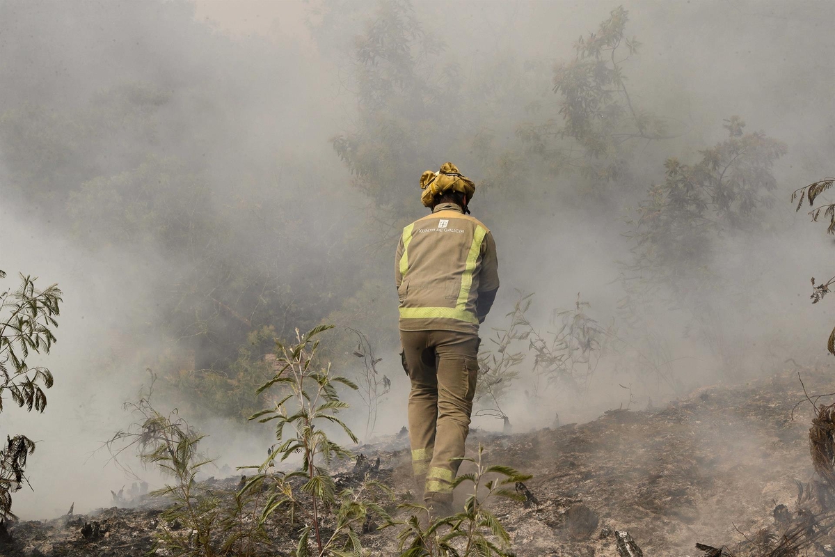Un bombero forestal trabajando para apagar un incendio en Ourense.