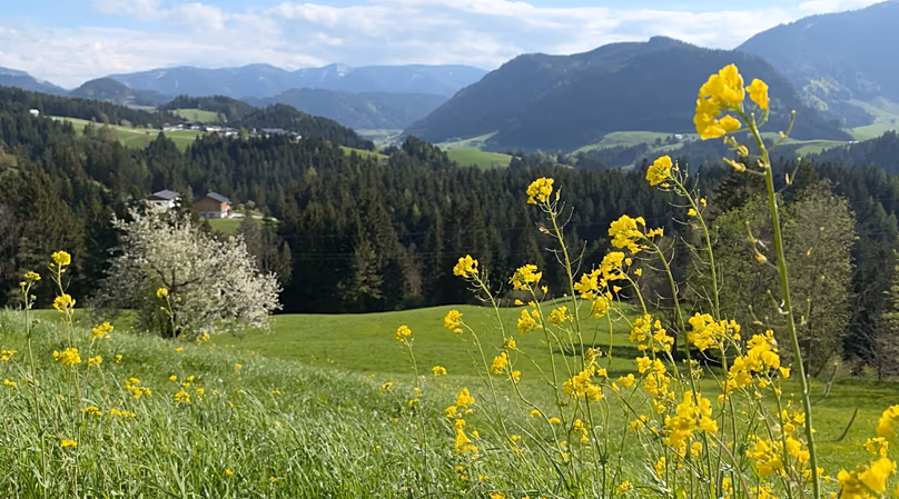 Farming pastures near the market village of Abtenau, Austria