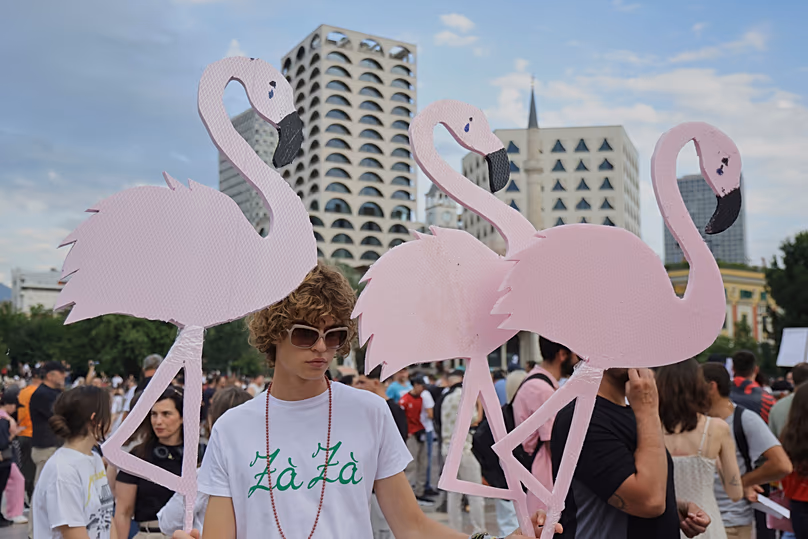 Flamingos once used Albanian wetlands as a migration stopover but have begun to start breeding there in recent years. 3 June, 2026.