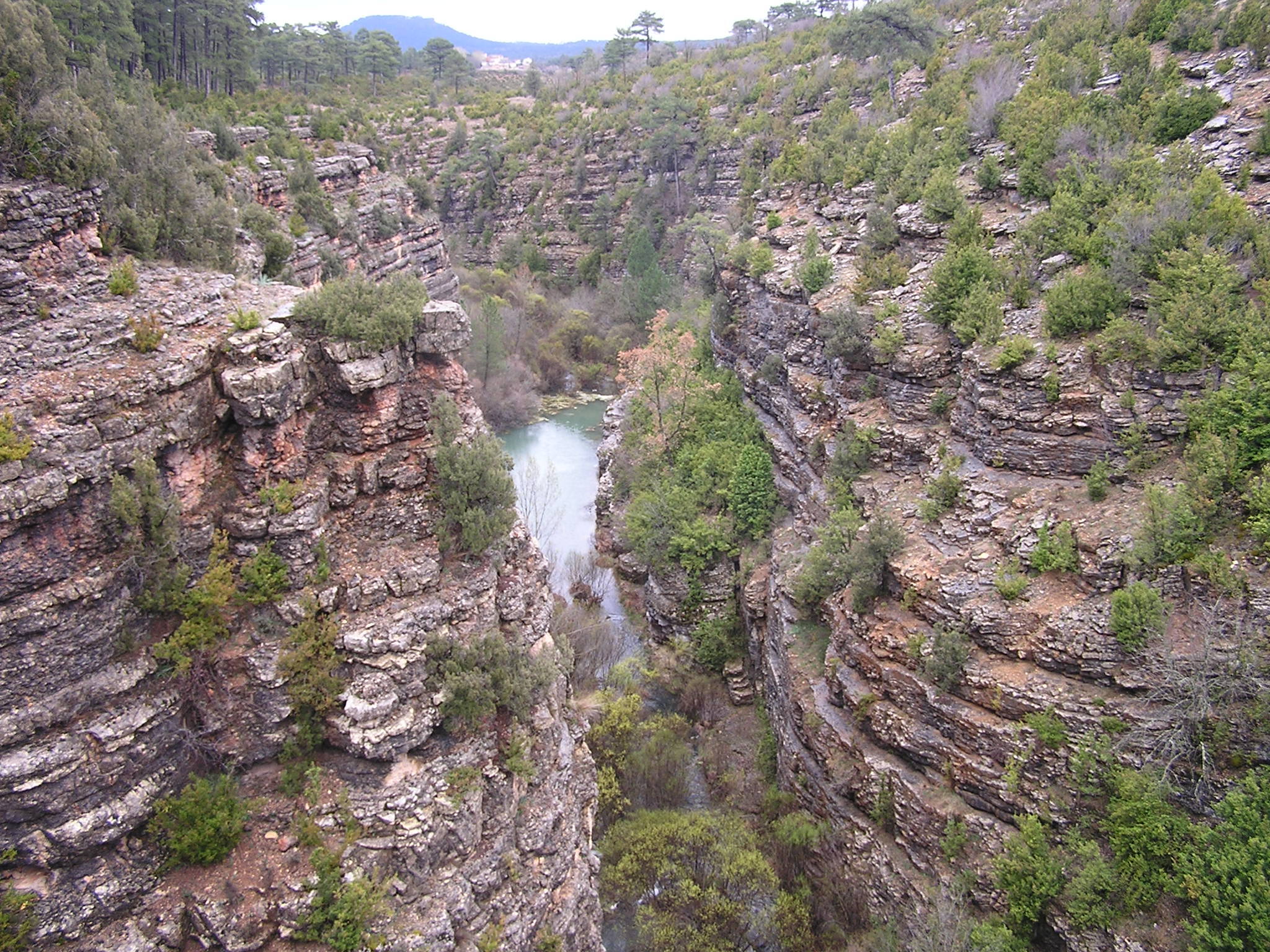 Foto: El parque natural con una de las masas forestales más importantes de Cuenca. (Áreas Protegidas de Castilla-La Mancha)