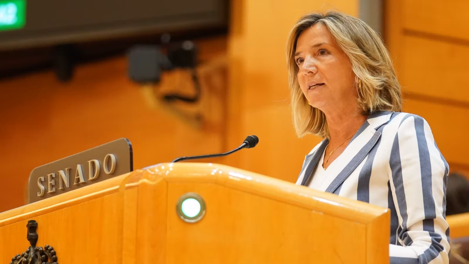 Alicia García, portavoz del PP en el Senado, durante su defensa de la moción exigiendo elecciones, este miércoles.