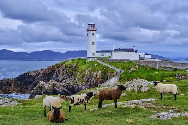 Una vista panorámica de un faro en Irlanda, con unas ovejas