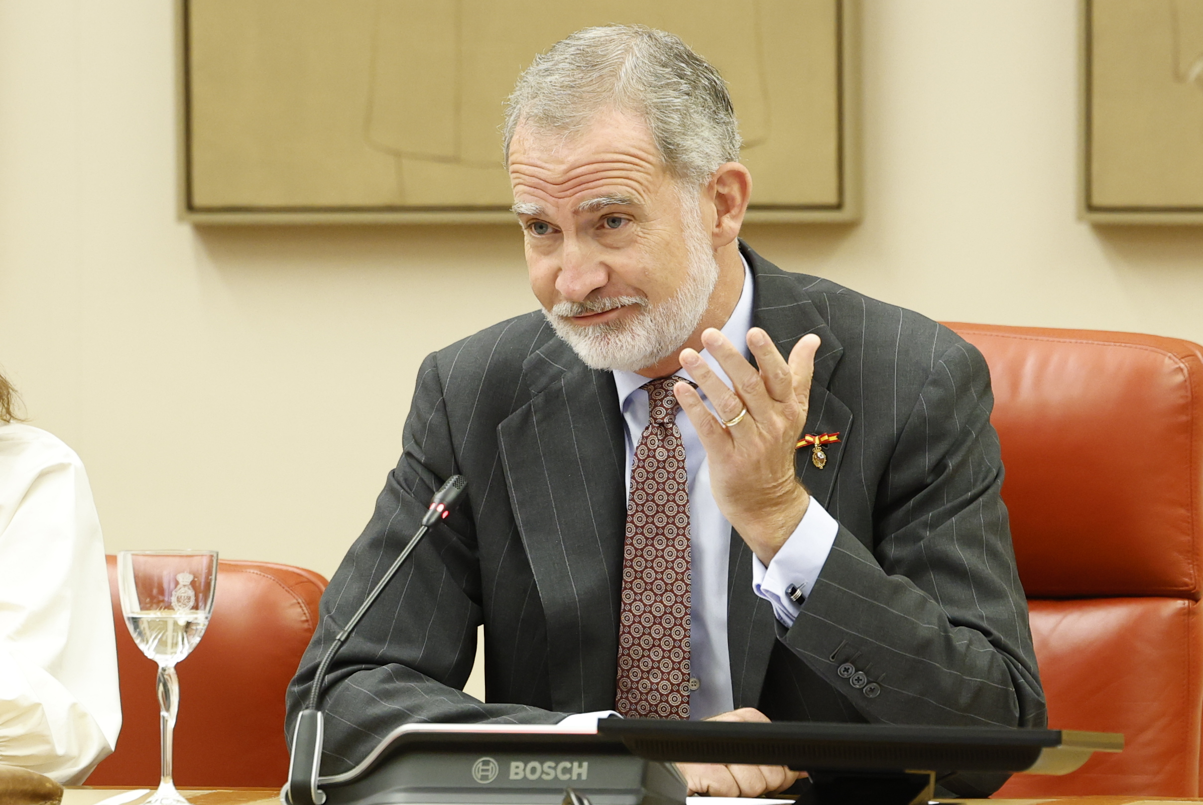 El Rey Felipe VI en una imagen reciente