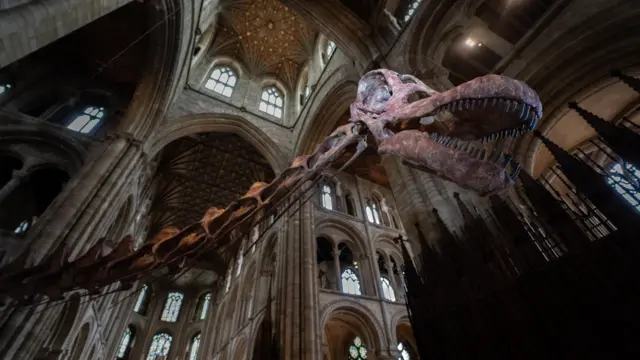 El cuello y la cabeza de un esqueleto de titanosaurio están dentro de la catedral de Peterborough. El cuello del esqueleto avanza, fuera de plano, hacia el cuerpo del animal alrededor de la izquierda de la imagen y la cabeza está en el lado derecho. Hay unos veinte arcos y ventanas de diferentes tamaños visibles tanto por encima como por debajo del esqueleto en distintos niveles. La boca del titanosaurio está ligeramente abierta y se ven sus dientes. La cuenca derecha del ojo del dinosaurio está iluminada y destaca en la foto