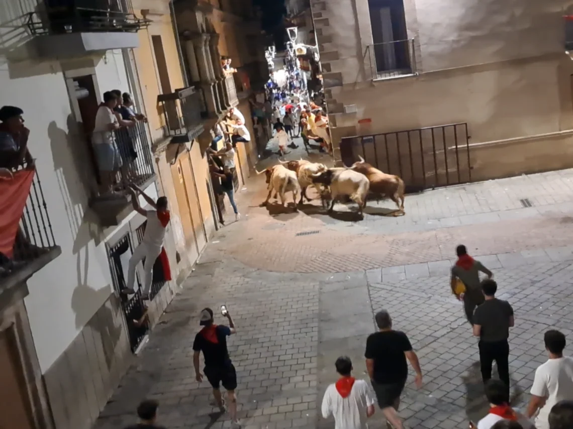 Los festejos taurinos de las Fiestas de San Juan de Coria, en Cáceres.