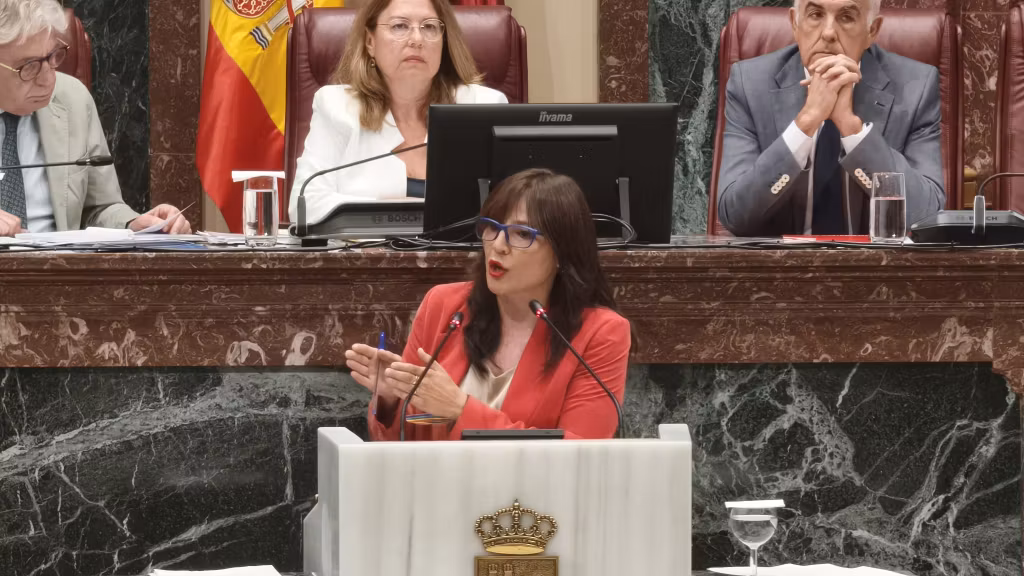 La diputada del PSOE Marisol Sánchez, este viernes, en su turno de réplica a la consejera de Salud.