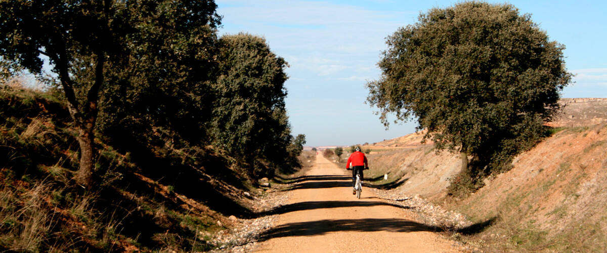 Foto: La vía verde para caminar o pedalear en Salamanca. (Fundación de los Ferrocarriles Españoles)