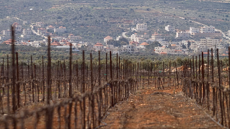 A vineyard in Jewish West Bank settlement of Shilo, near Nablus. (AP Photo/Dan Balilty)