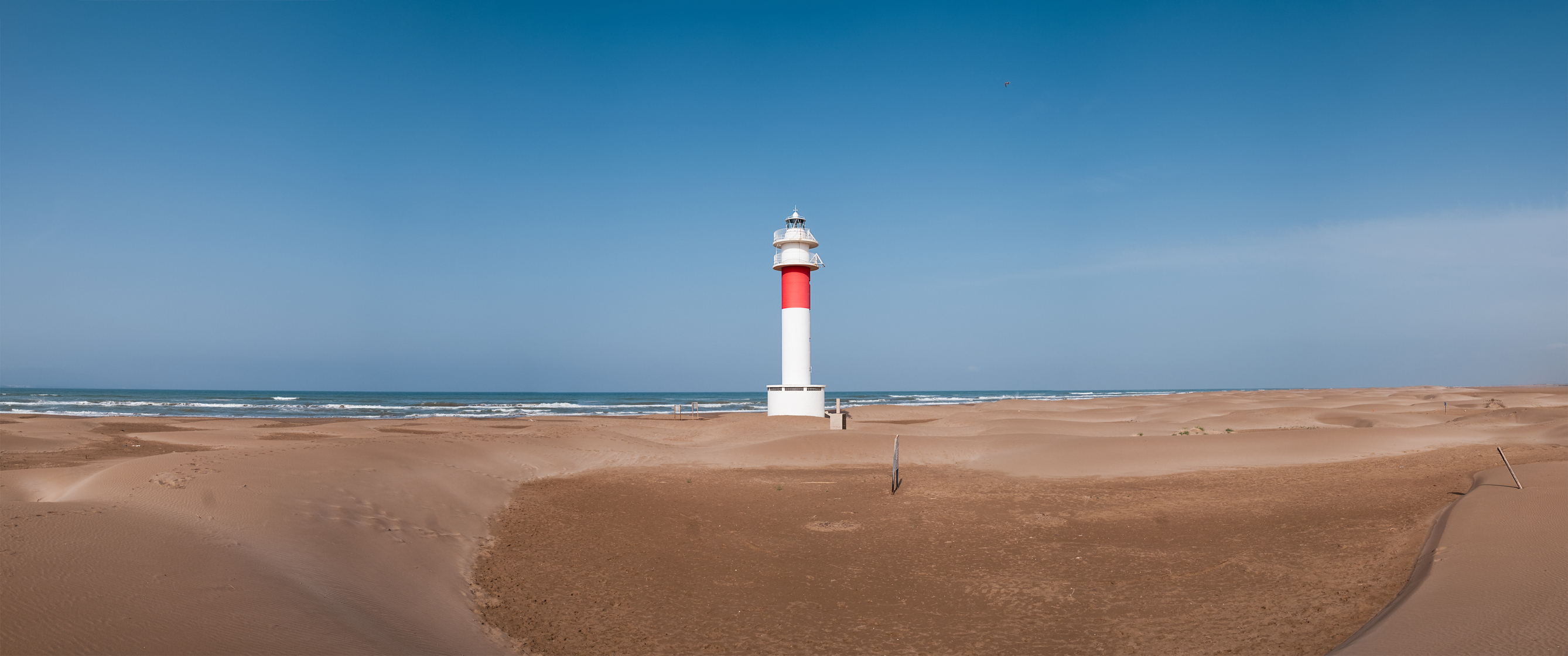 Foto: (Fuente: iStock)