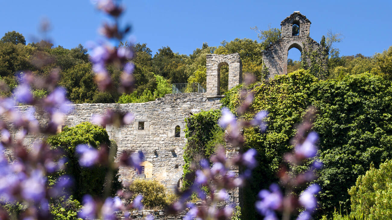 Foto: Vista del jardín botánico situado en Iruña de Oca, en la provincia de Álava. (Basque Capital)