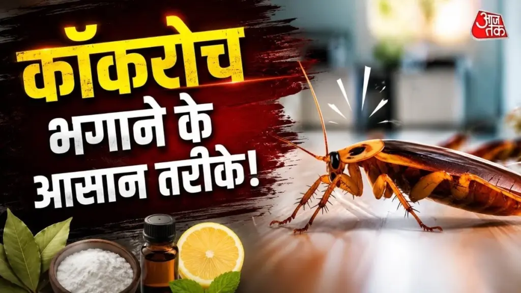 Adiós a cada cucaracha: el truco del bicarbonato para limpiar tu cocina