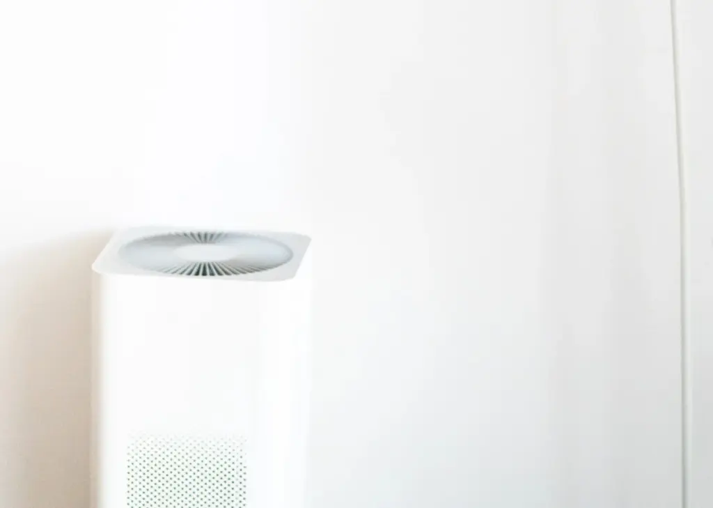 Adiós a la humedad y el moho: el truco del deshumidificador para ahorrar luz