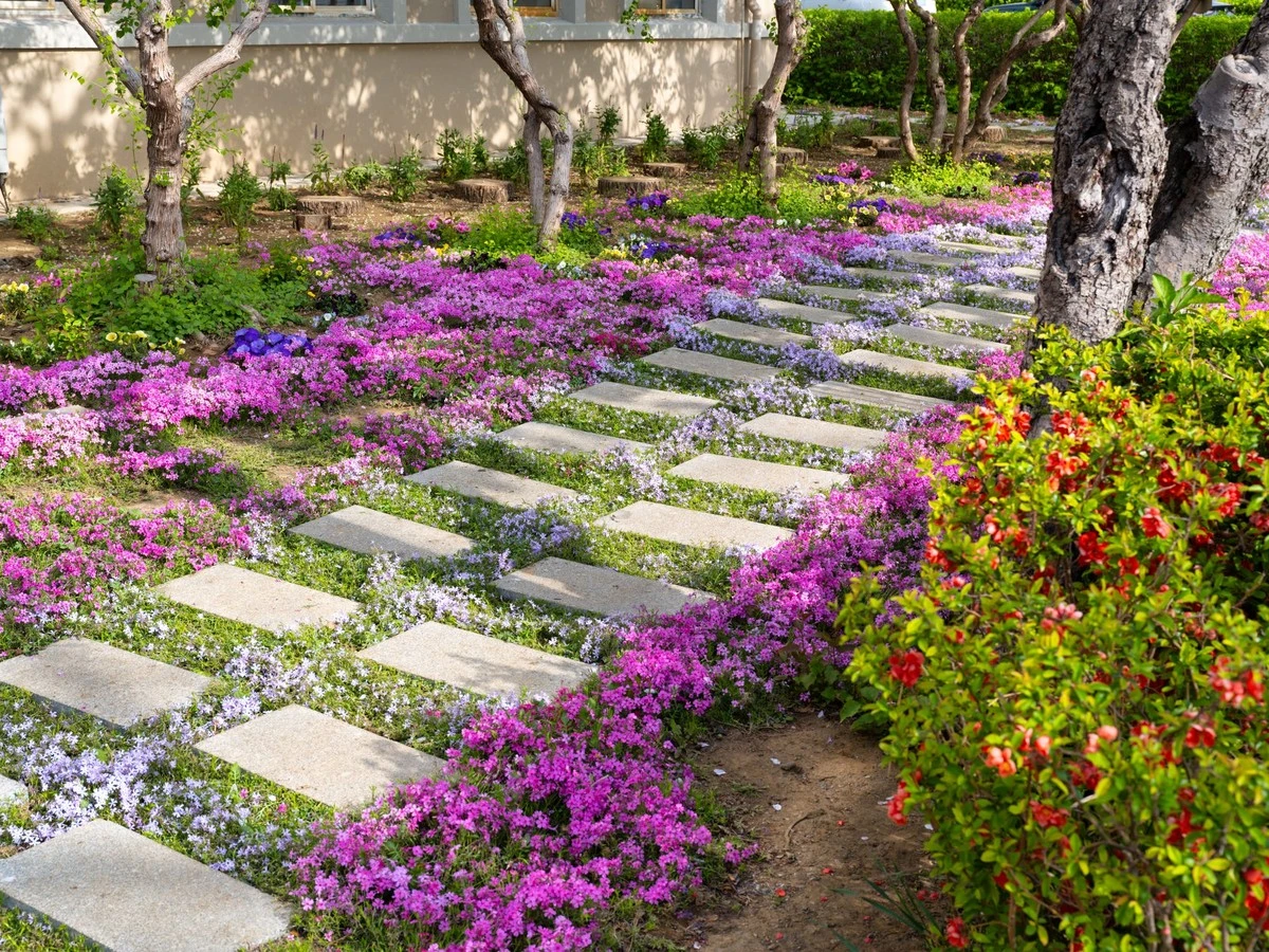 Adiós a las malas hierbas: el secreto de las plantas tapizantes para un jardín impecable - image 1