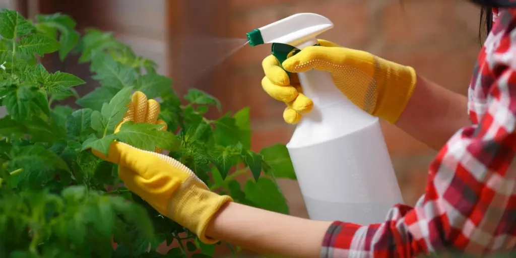 Adiós a las plagas: el truco del Jabón de Marsella mejor que cualquier insecticida