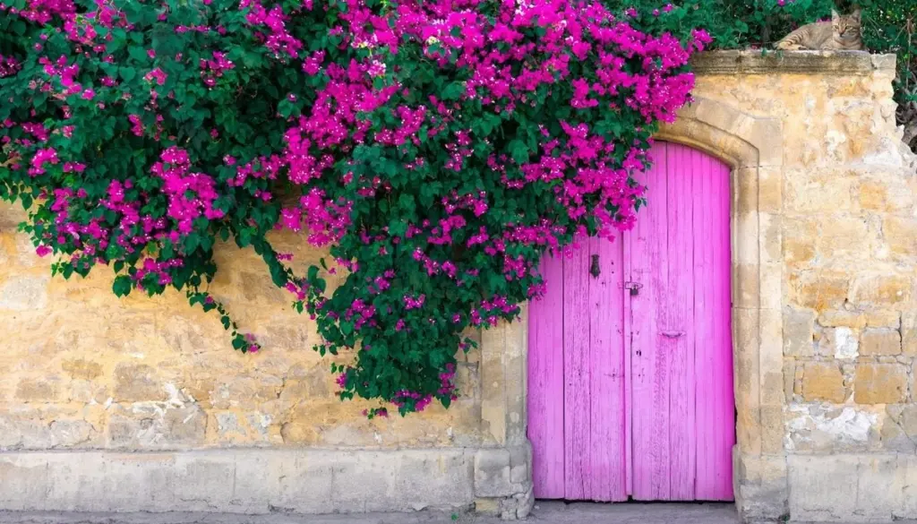 Adiós al calor: 7 plantas trepadoras para tu jardín que refrescan la casa