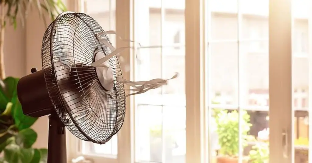 Adiós al calor: el método del ventilador y Efecto Bernoulli para enfriar