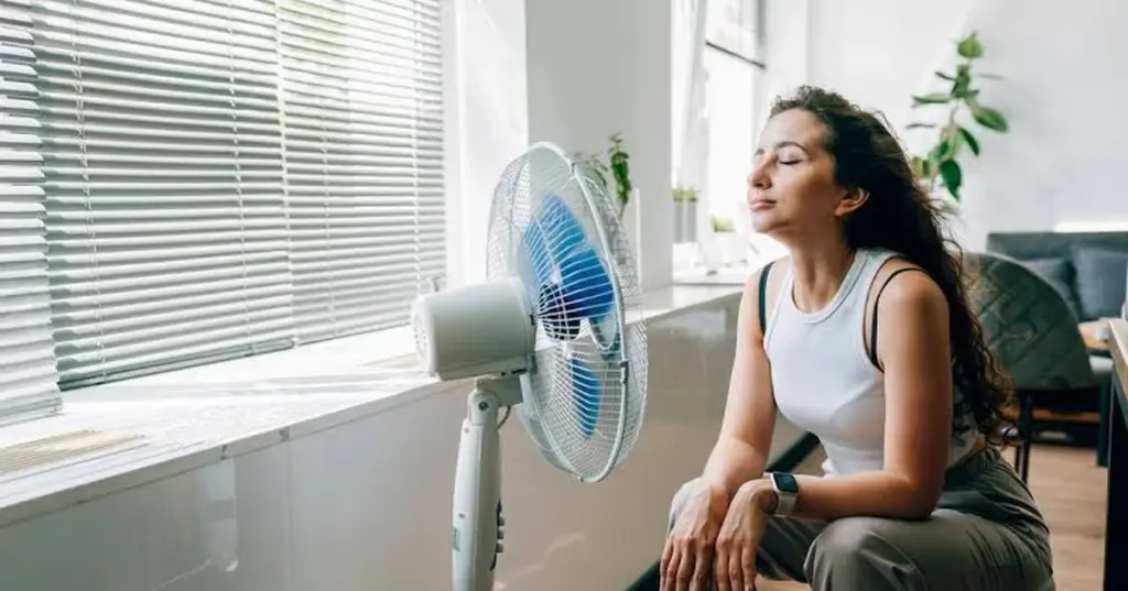 Adiós al calor: usa el Efecto Bernoulli en tu Ventilador y enfría tu casa