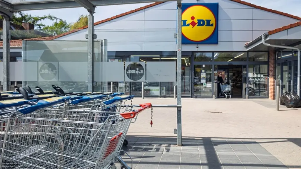 Adiós al horno: la Silvercrest de 12L de Lidl para ahorrar un 55% de luz