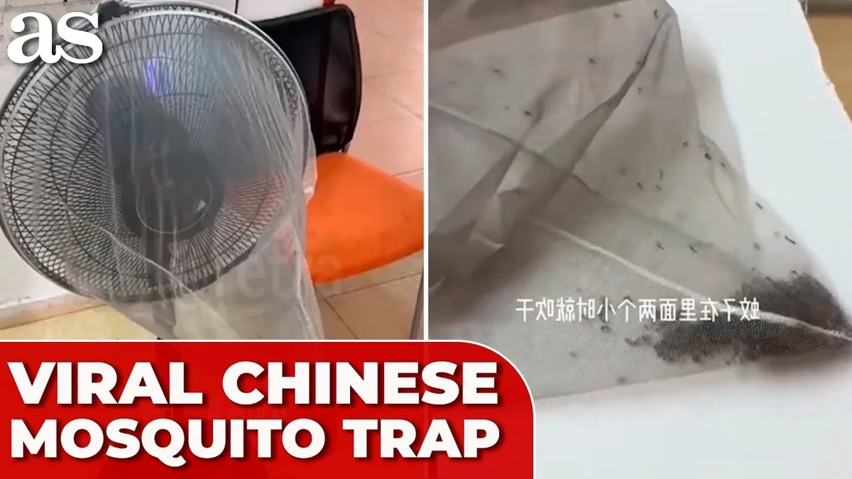 Adiós al Mosquito: el truco de los Ventiladores para dormir sin picaduras - image 1