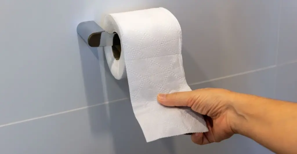 Adiós al papel higiénico: el inodoro con ducha que ahorra 400€ al año