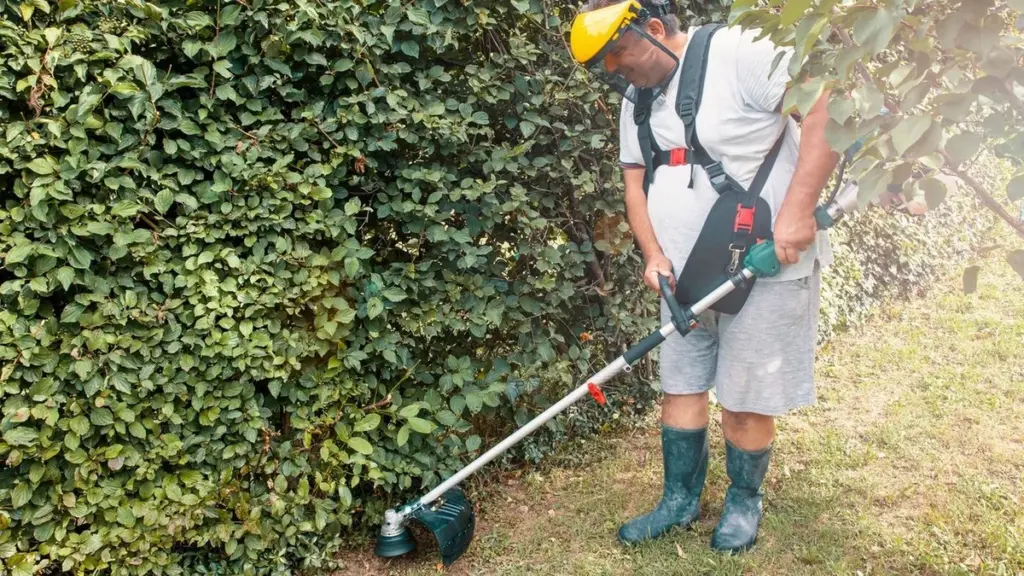 Adiós maleza rebelde: por qué la Bosch AFS 23-37 es clave este Amazon Prime Day