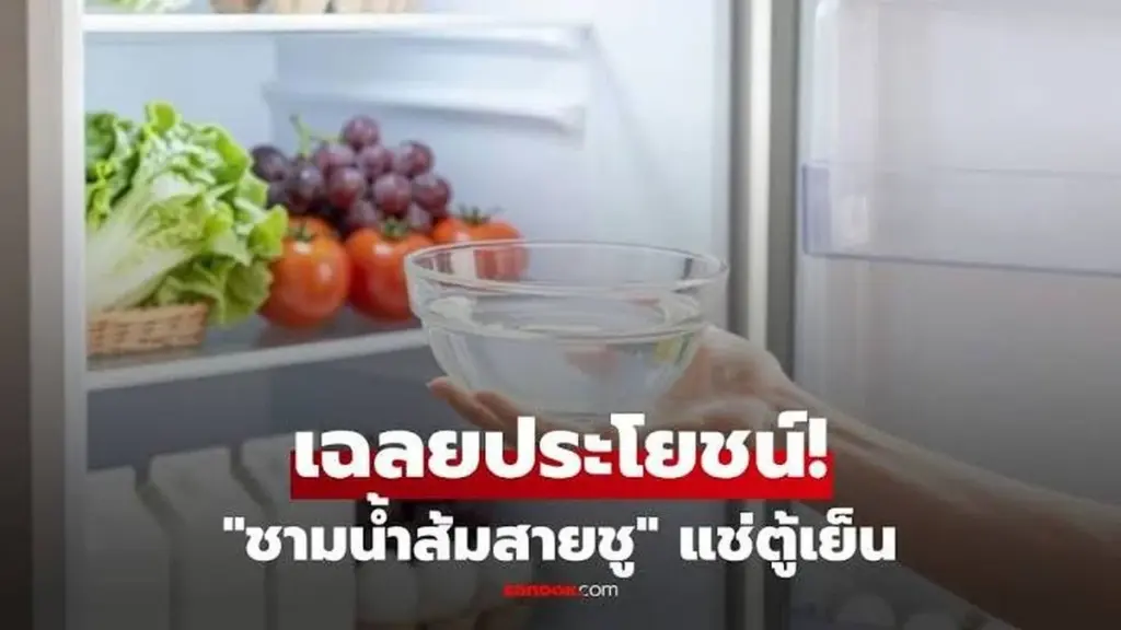 Adiós olores y facturas altas: por qué poner vinagre blanco en tu refrigerador