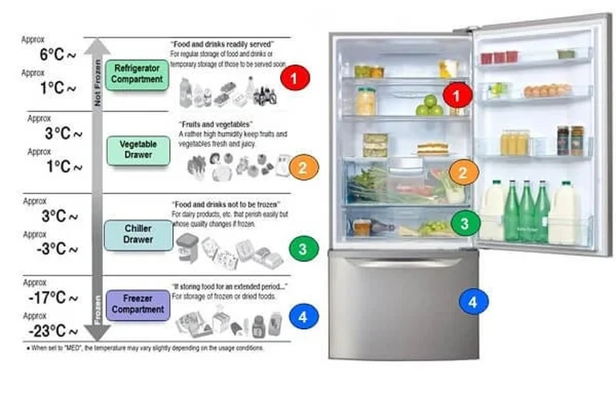 Ahorra electricidad: el error de 2 cm en tu refrigerador que infla tu factura - image 1