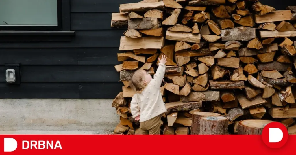 Ahorra un 30% en leña: el método experto de Palivovedrevo.biz sin multas