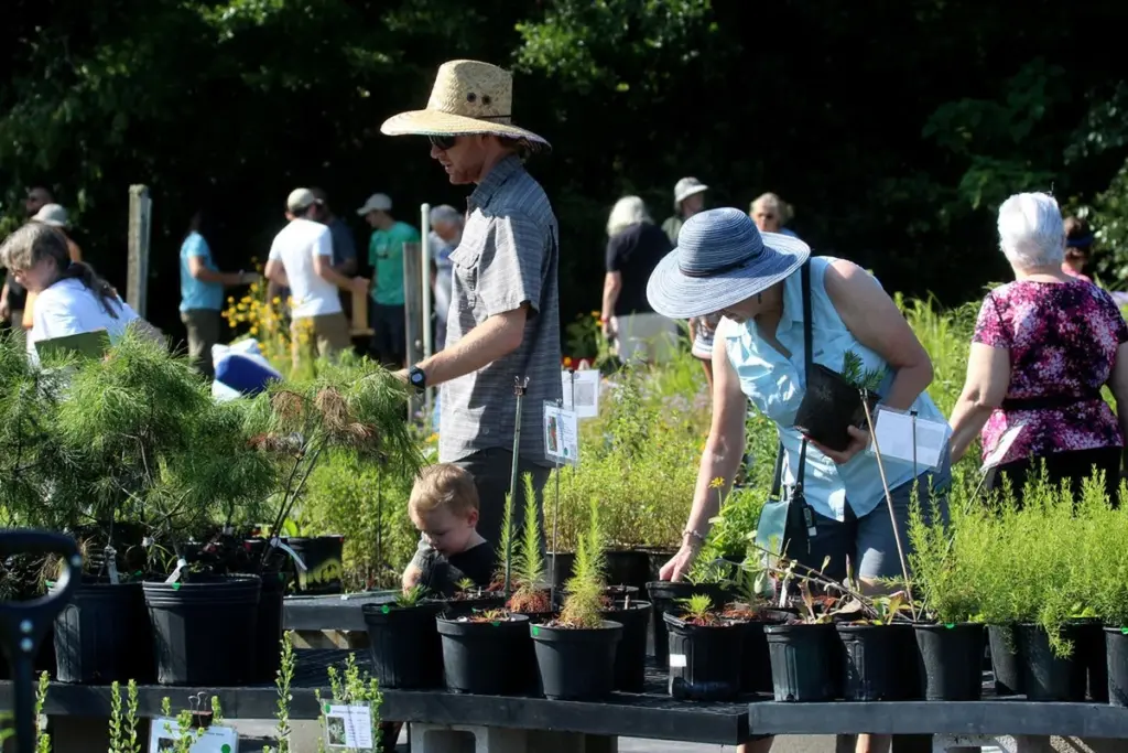 Ahorra un 70% de agua: el plan de la UF y UF/IFAS para tu jardín