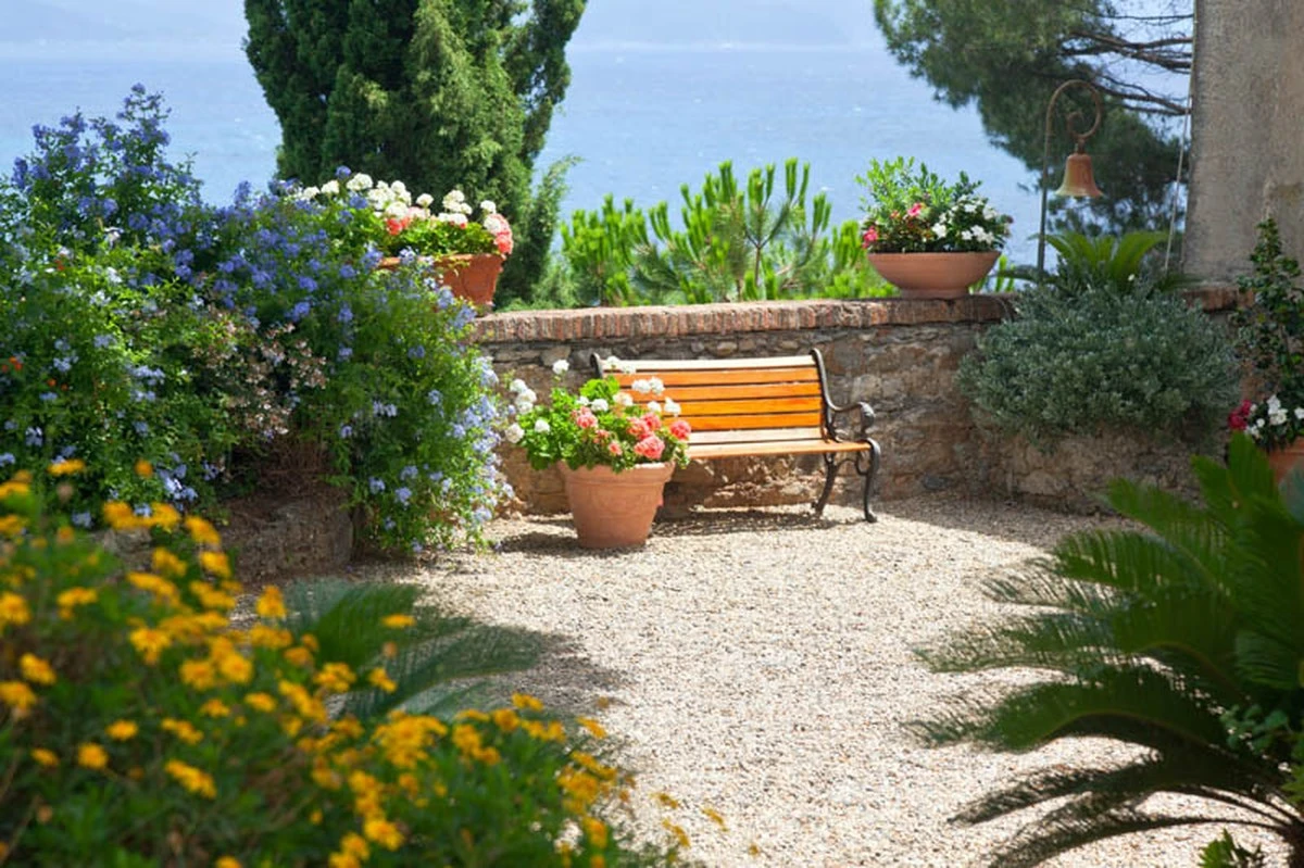 Ahorra un 70% de agua: el plan de la UF y UF/IFAS para tu jardín - image 1