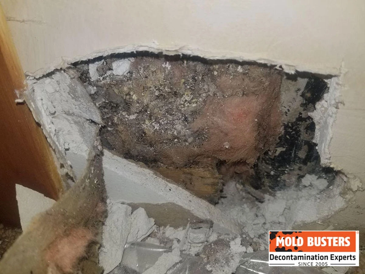 Aislamiento de espuma en spray: por qué la casa de David Hay vale 0 euros - image 1