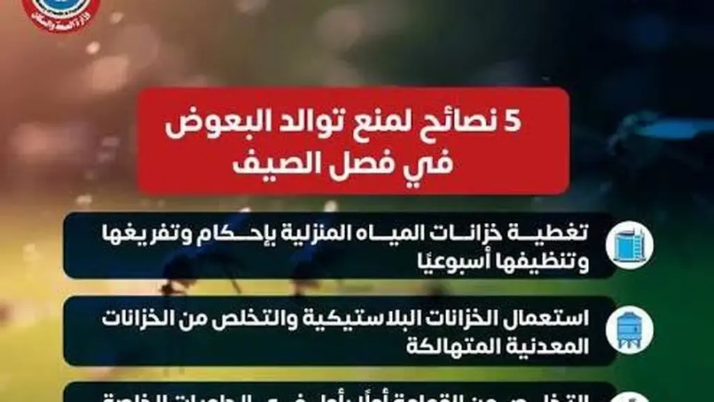 Alerta por mosquitos: el error en tu casa que el Ministerio de Salud وPoblación (Egipto) pide evitar