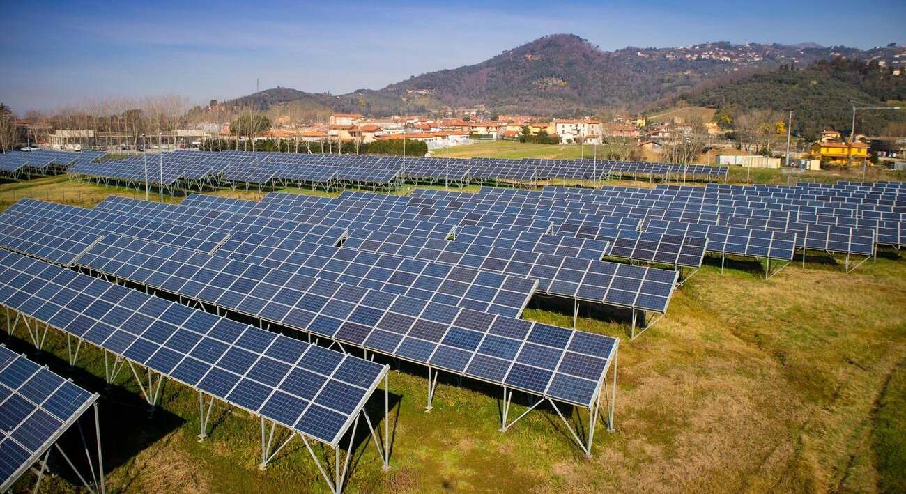 Los biólogos no dan crédito: en el suelo de una planta solar, sin que nadie se diera cuenta, apareció algo que ninguno esperaba