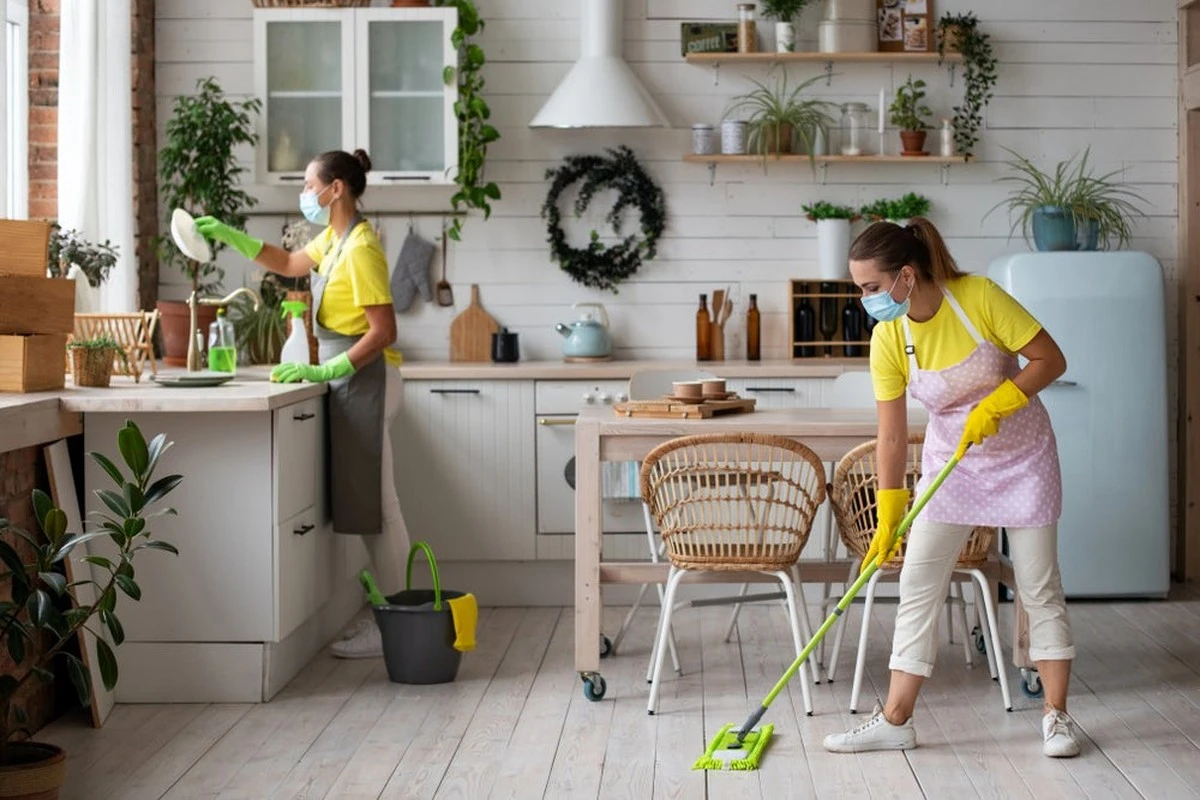 Bacterias en casa: por qué tu cocina es más peligrosa que el inodoro - image 1