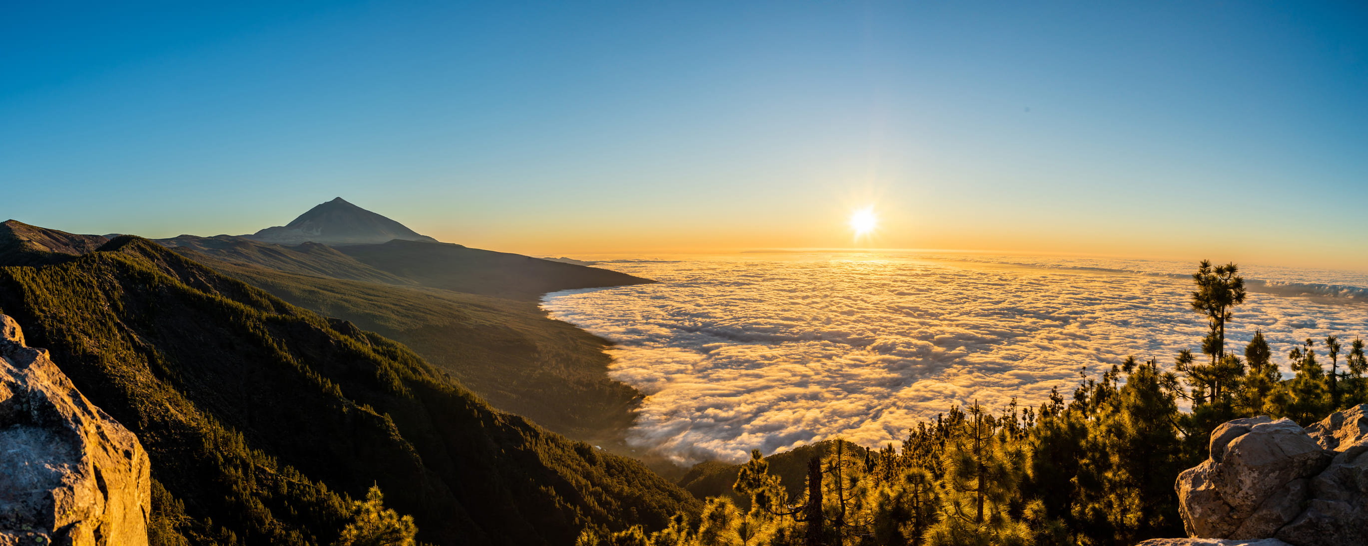 Foto: (Fuente: iStock)