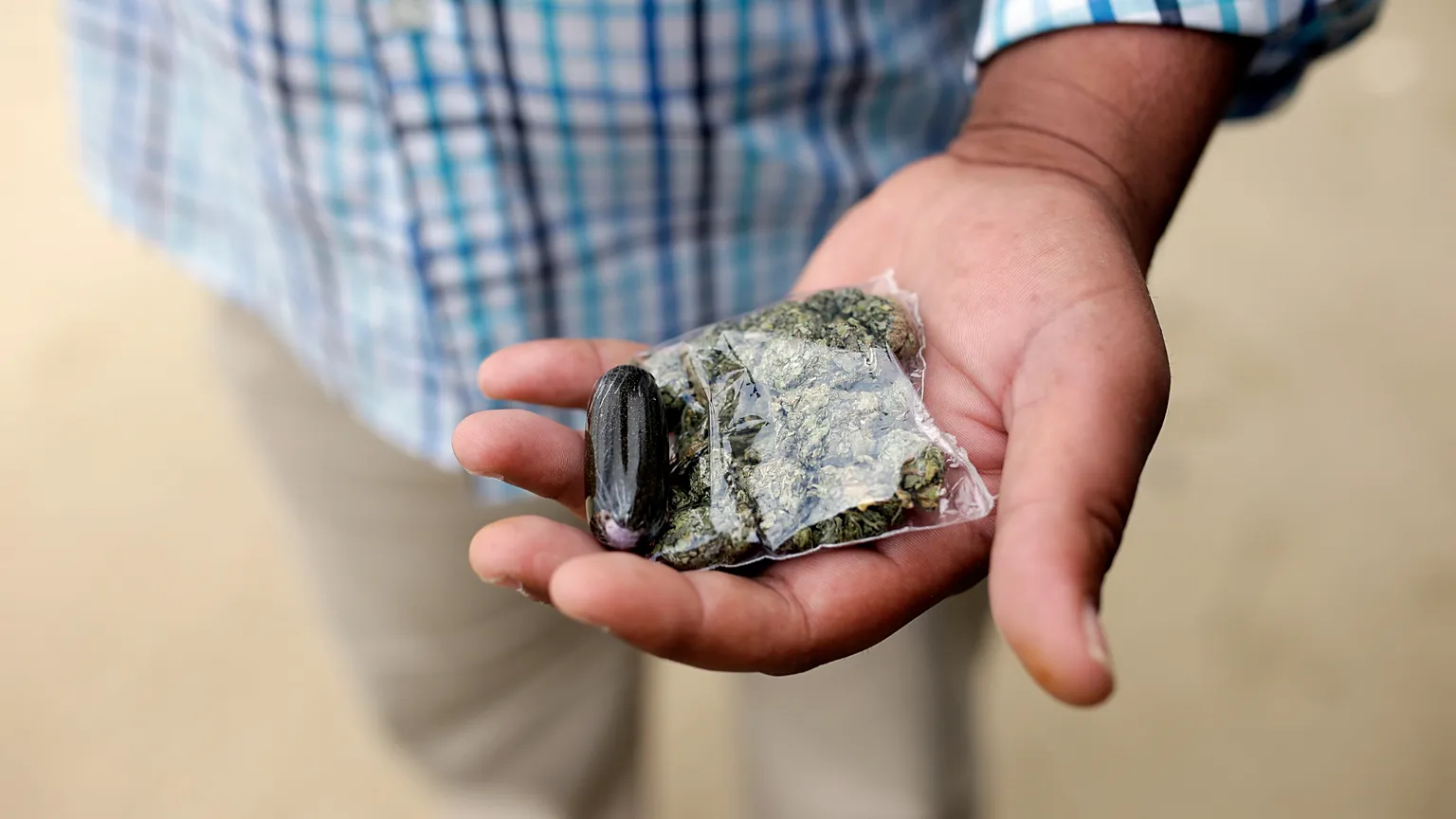 A drug dealer poses with cannabis products as he waits for customers in downtown Lisbon, Tuesday, May 27, 2014. 