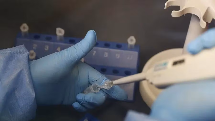 Una persona manipulando objetos en un laboratorio. EFE