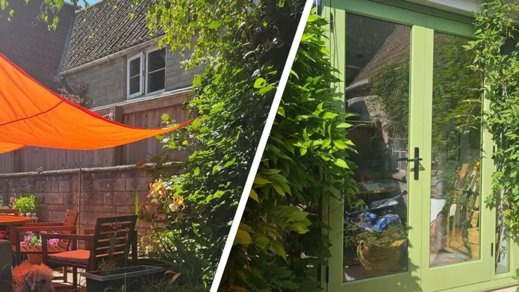 Calor en casa: el truco de la Wisteria en Reino Unido para bajar 7 grados