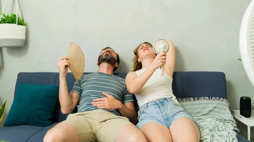 Calor en casa: la persiana opaca de ALDI de 11€ que enfría tu salón