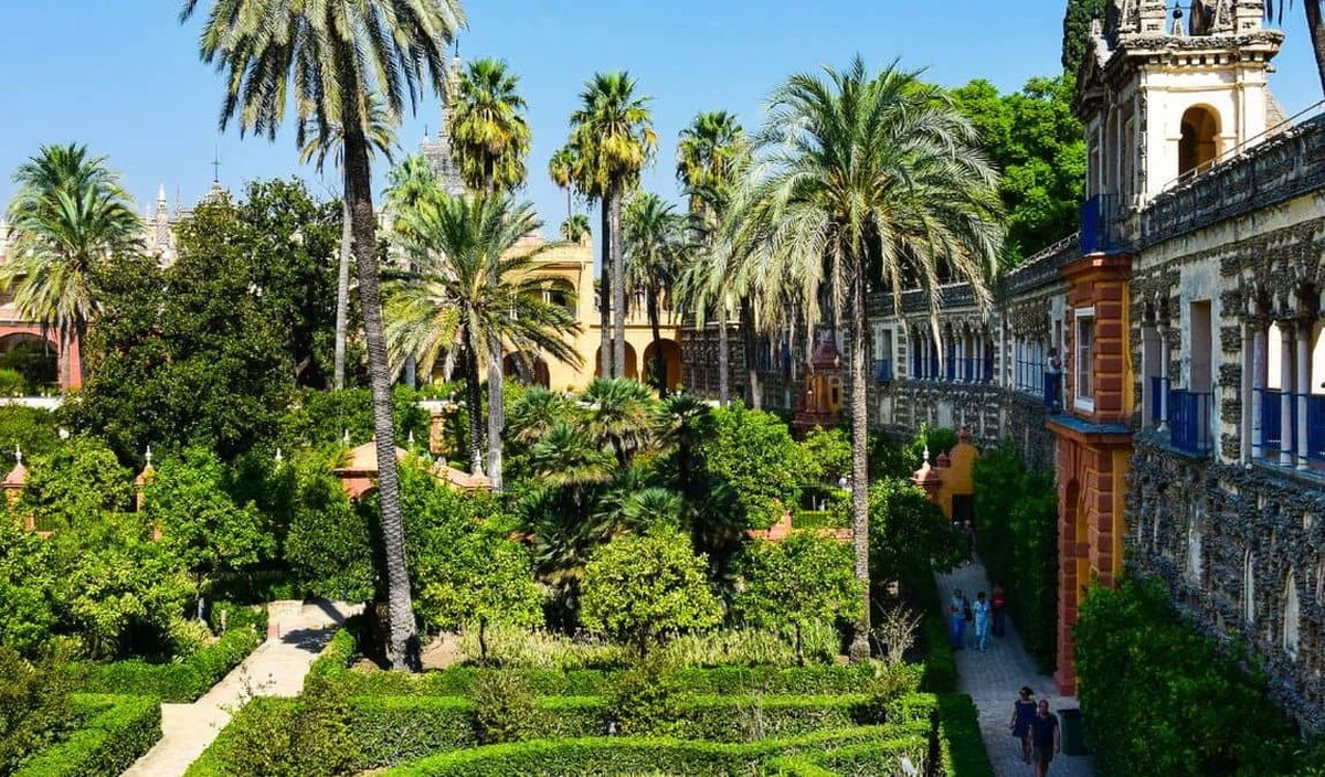 Calor en Sevilla: el truco de Juan Talavera para bajar 5 grados sin luz - image 1