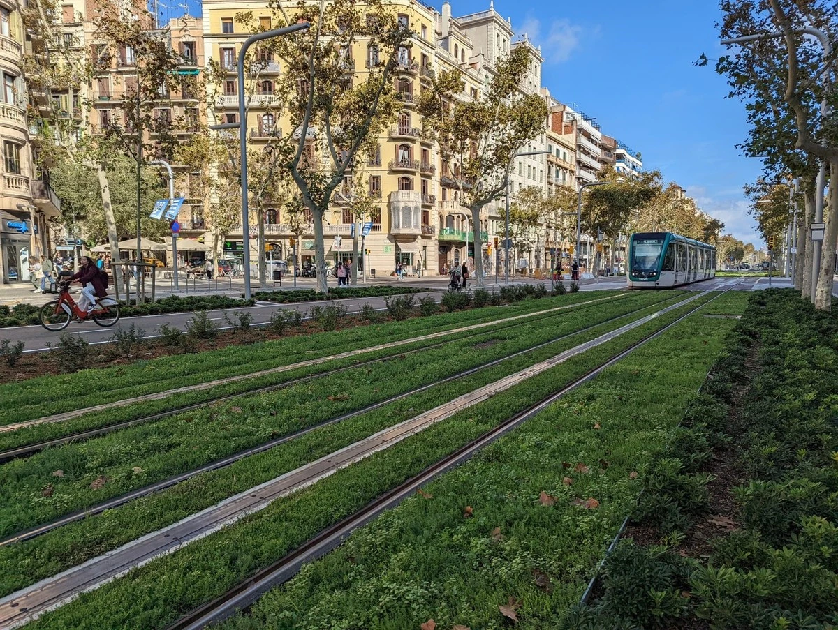 Calor en Şoseaua Pantelimon, Sector 2: el truco verde que baja 4 grados - image 1