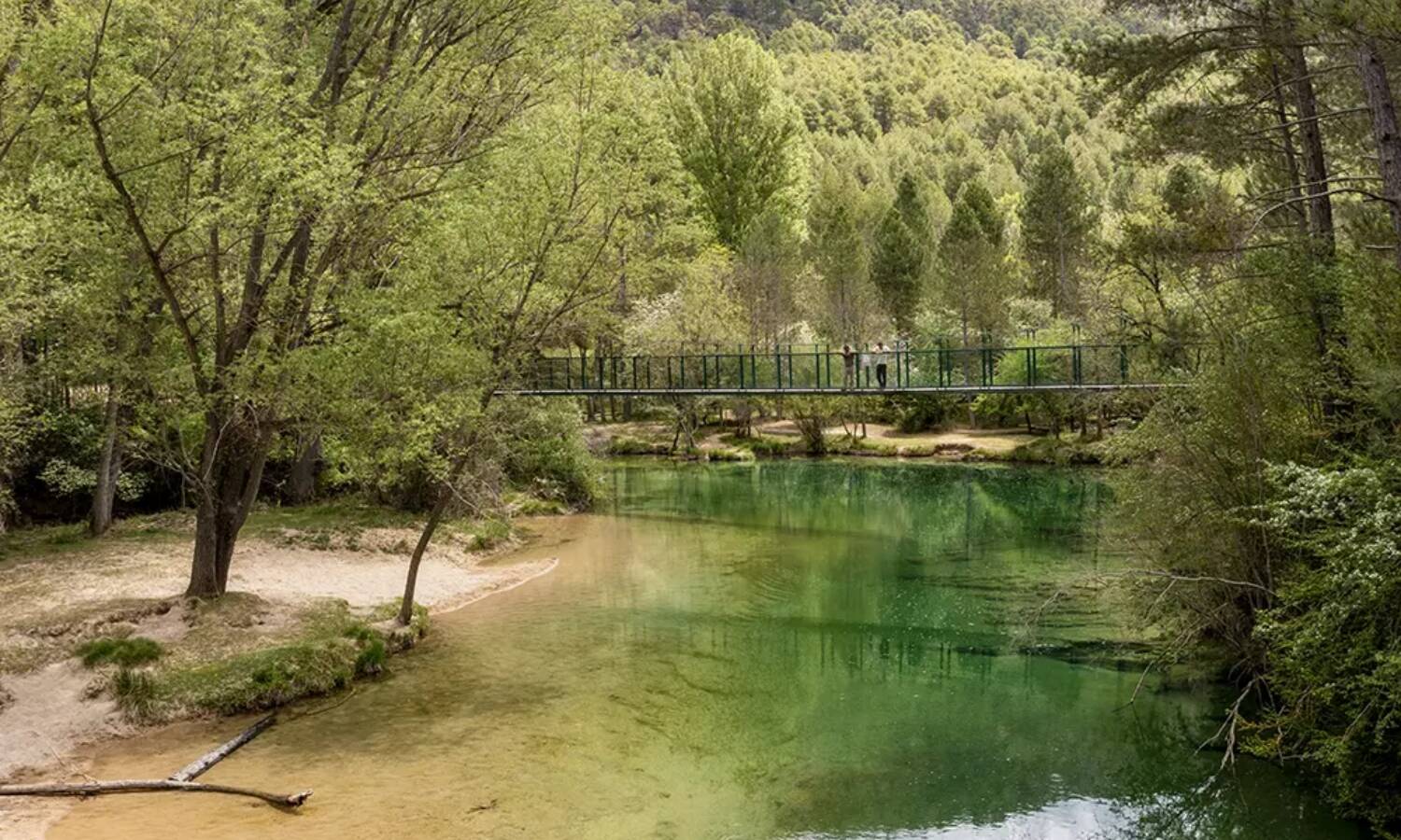 Foto: Disfruta de este cañón en plena primavera. (Cañón del Tajo)