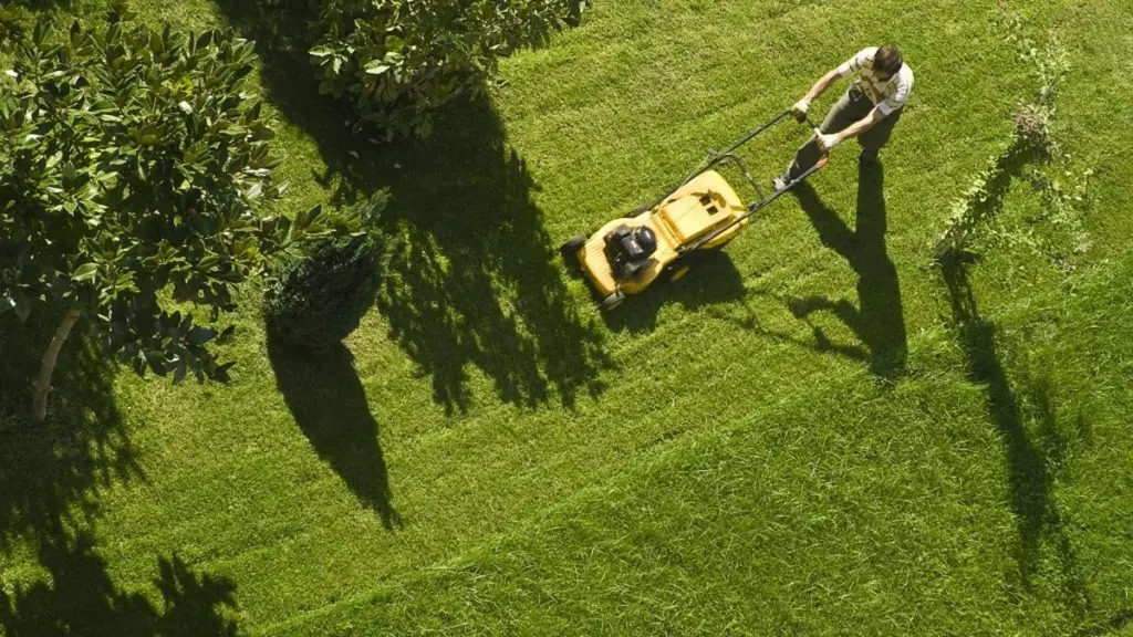 Césped amarillo: el error con el cortacésped que arruina tu jardín en verano