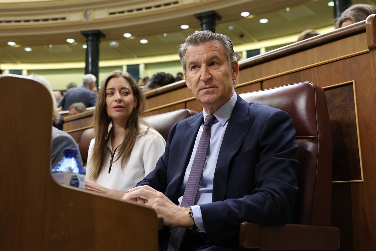 Feijóo en el Congreso (Europa Press)