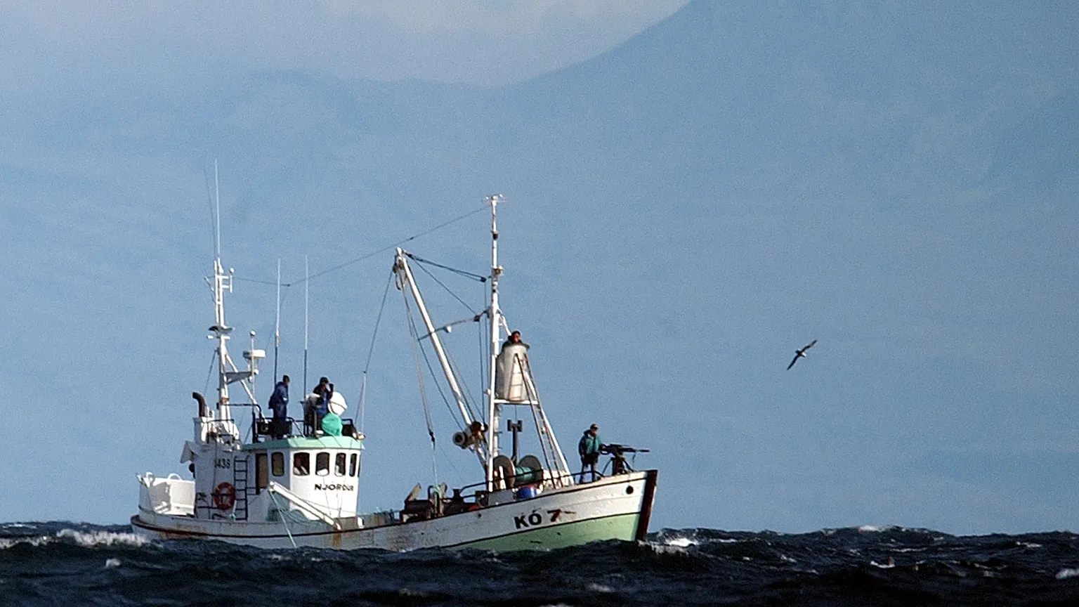 The whaling boat 'Njordur', prepares to fire a harpoon at a minke whale, Friday, Aug. 22, 2003 in the Atlantic Ocean off the west coast of Iceland.