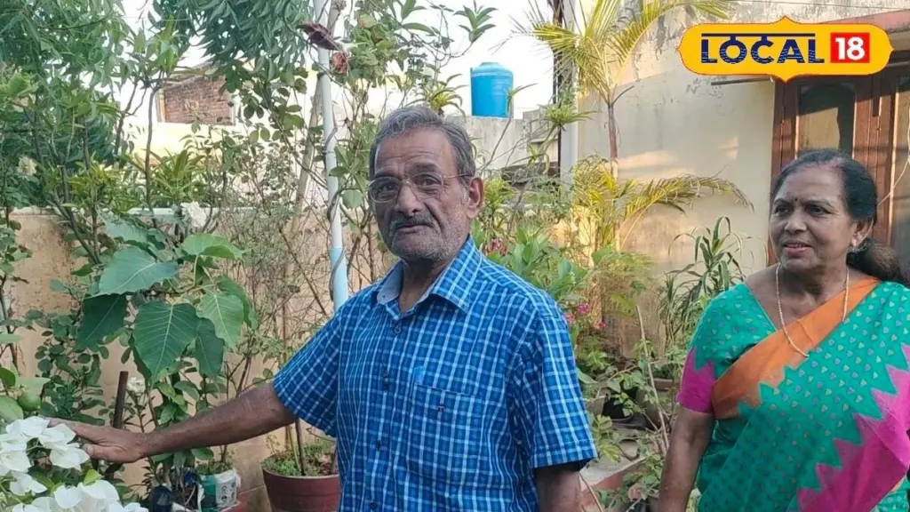 De Jhumri Telaiya a Koderma: el secreto para crear un bosque en terraza