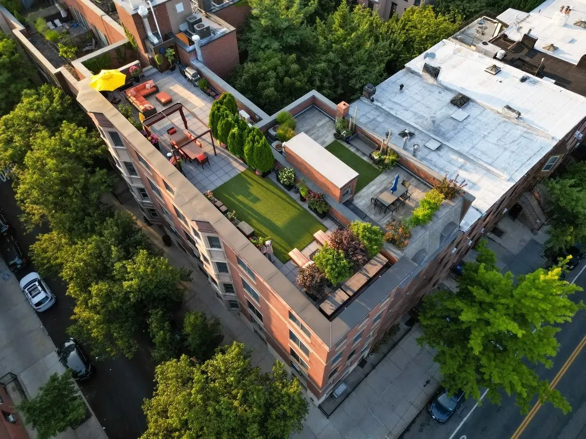 De Jhumri Telaiya a Koderma: el secreto para crear un bosque en terraza - image 1